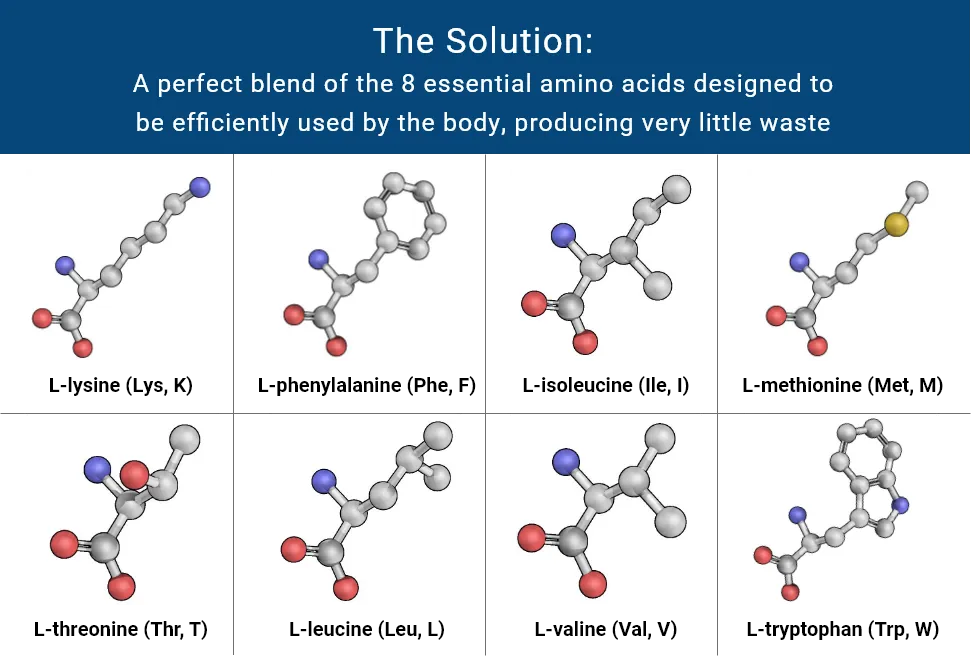 Perfect blend of 8 essential amino acids with minimal waste