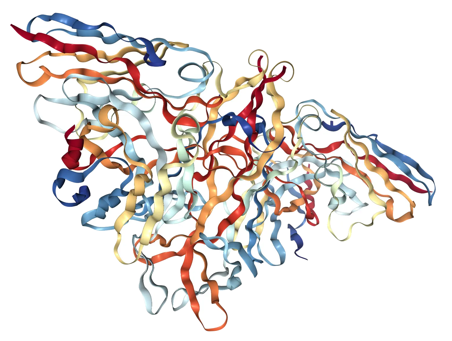 Nerve Growth Factor NGF brain support diagram
